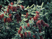 �A�J�G�]�}�c