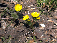 �L�^�~�t�N�W���\�E